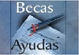 Image de la noticia